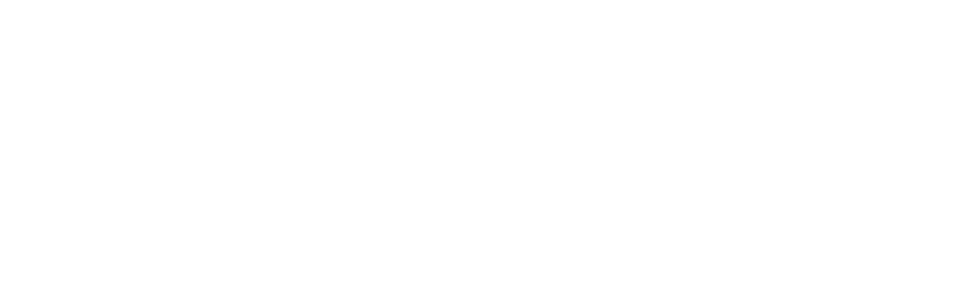 Bonzo Logo